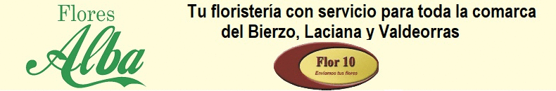 Banner IG Flores Alba El Bierzo
