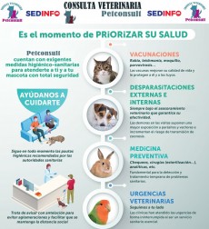 VISITA AL VETERINARIO