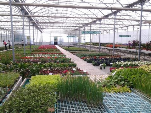 Foto 6
