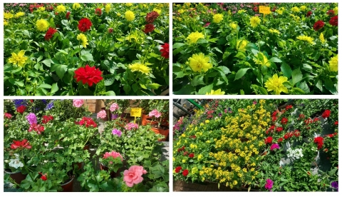 Foto 6