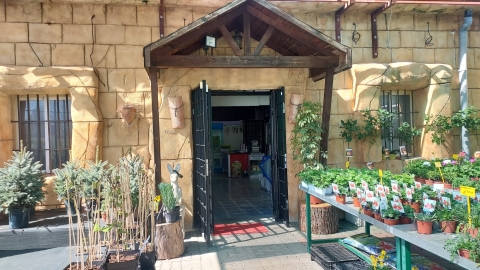 Foto 2
