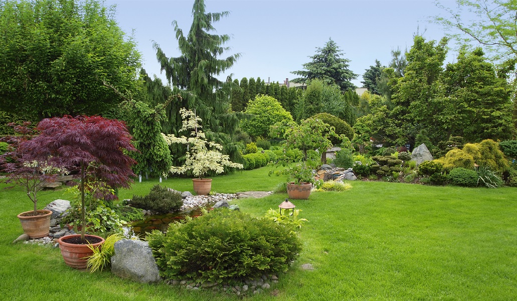 EROJARDÍN Y LIMPIEZAS: Floristerías