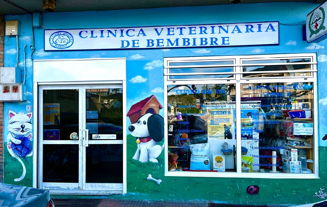 CLÍNICA VETERINARIA DE BEMBIBRE: Veterinarios