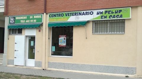 Foto 1