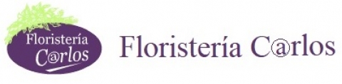 Logotipo de FLORISTERÍA CARLOS