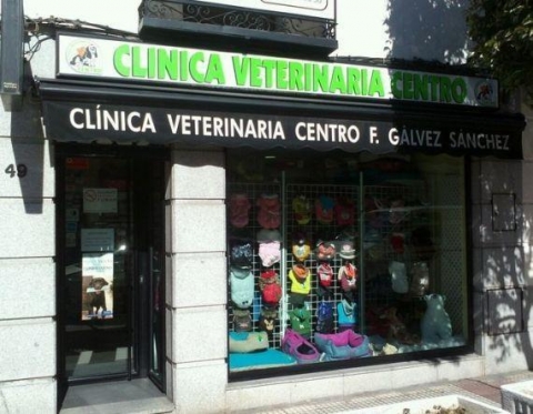 Foto 1