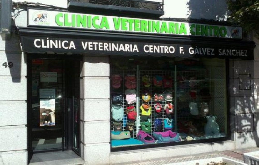 CLÍNICA VETERINARIA CENTRO: Mascotas