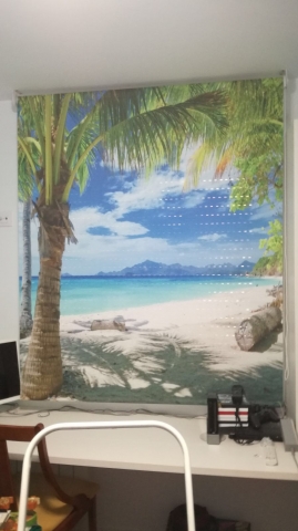 Foto 5