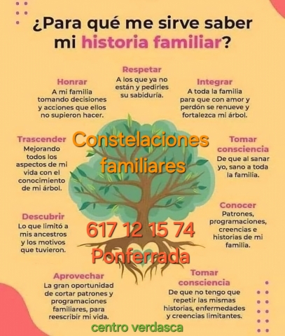 Constelaciones Familiares ( movimientos sistemicos)