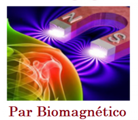 El Biomagnetismo Medico 
