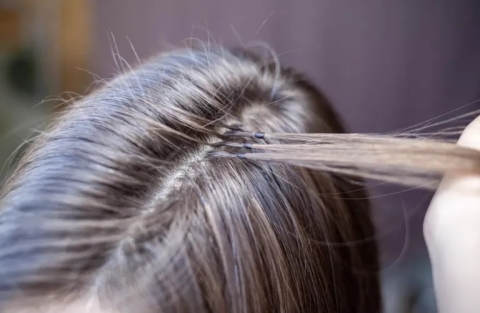 Extensiones
