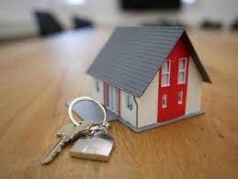 Gesti&oacute;n Inmobiliaria