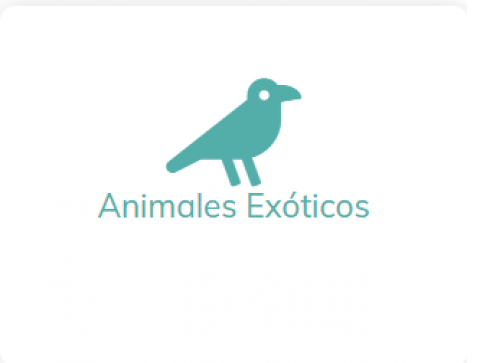 Animales Exóticos