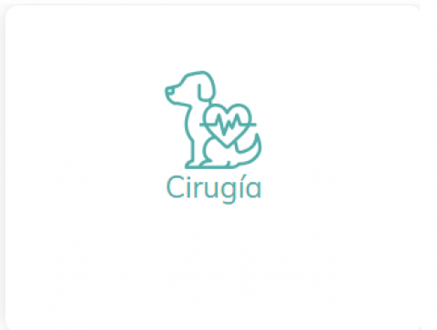 Cirugía