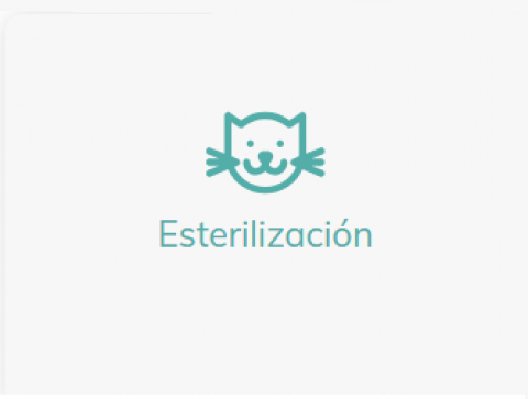 Esterilización