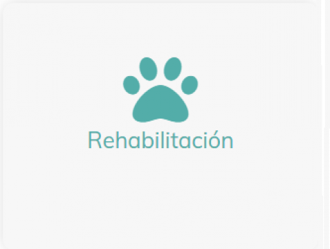 Rehabilitación y Fisioterapia
