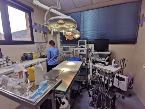 odontologia