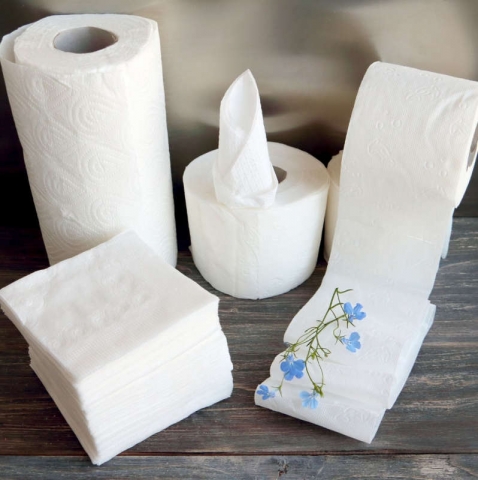 Celulosas y Tissues