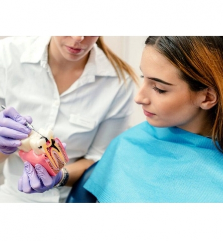 Endodoncia