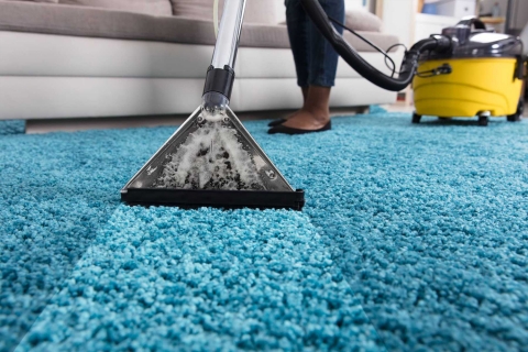 Limpieza de Moquetas y Alfombras